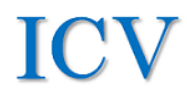 ICVコンサルティング株式会社